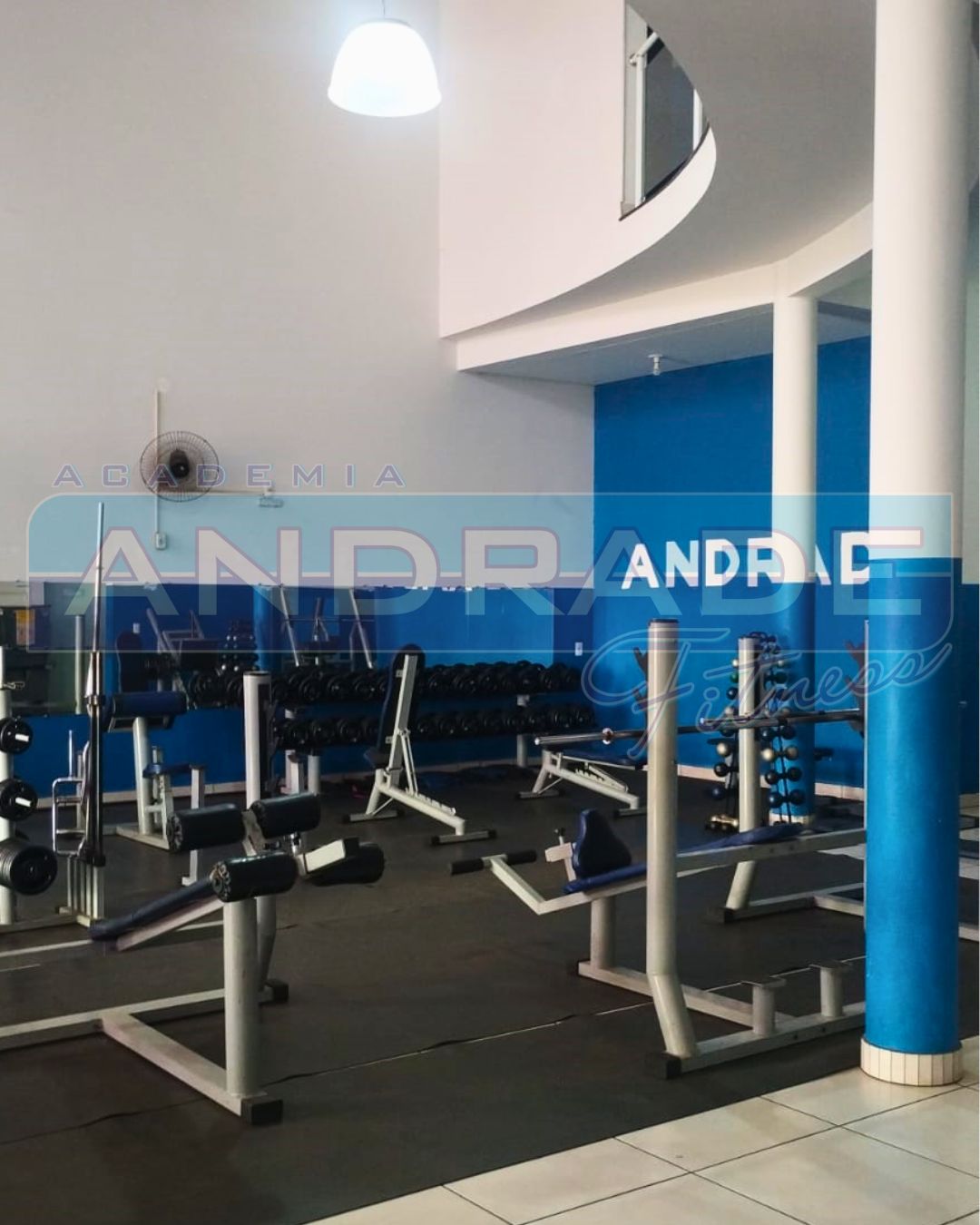 MUsculação 2.jpg